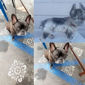 Vtg Farmhouse Cast Iron French Bulldog DoorStop